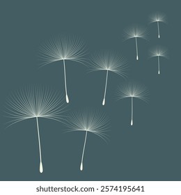 Vector illustration of dandelion time. Beautiful realistic Dandelion seeds blowing in the wind. The wind inflates a dandelion isolated in an editable evening background.