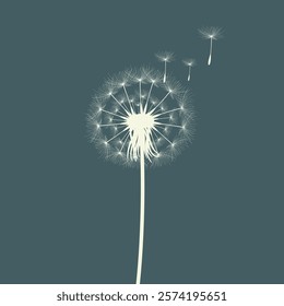 Vector illustration of dandelion time. Beautiful realistic Dandelion seeds blowing in the wind. The wind inflates a dandelion isolated in an editable evening background.