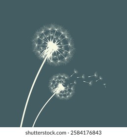 Vector illustration of dandelion time. Beautiful realistic Dandelion seeds blowing in the wind. The wind inflates a dandelion isolated in an editable evening background.