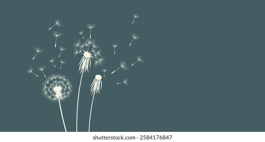 Vector illustration of dandelion time. Beautiful realistic Dandelion seeds blowing in the wind. The wind inflates a dandelion isolated in an editable evening background.