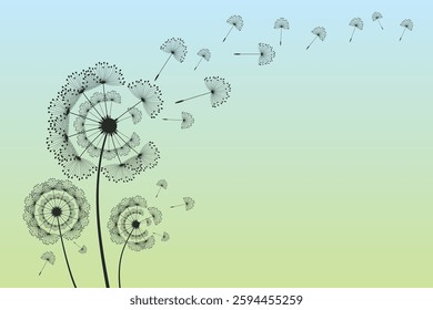 Vector illustration of dandelion time. Beautiful realistic Dandelion seeds blowing in the wind. The wind inflates a dandelion isolated in an editable evening background.