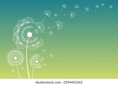 Vector illustration of dandelion time. Beautiful realistic Dandelion seeds blowing in the wind. The wind inflates a dandelion isolated in an editable evening background.