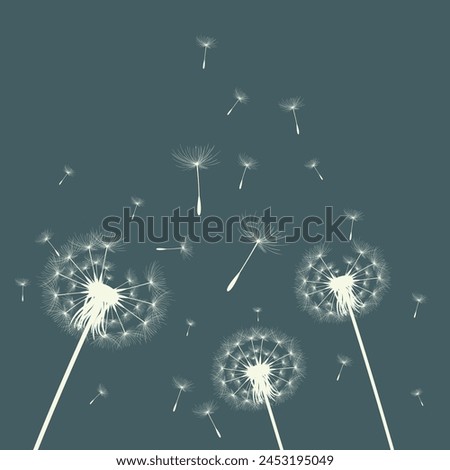 Vector illustration of dandelion time. Beautiful realistic Dandelion seeds blowing in the wind. The wind inflates a dandelion isolated in an editable evening background.