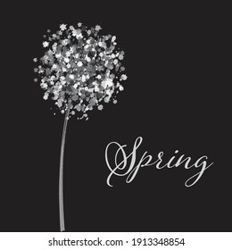 Vector illustration dandelion time. Black and white watercolor hand drew spring tender flowers - dandelions vector illustration background. Perfect for cards, cover, textile