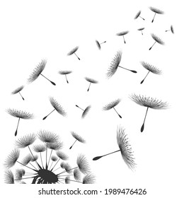 Vector Illustration Dandelion Time Black Dandelion Stock Vector ...