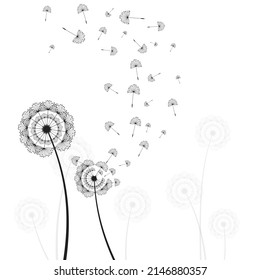 Vector illustration dandelion time. Black Dandelion seeds blowing in the wind. The wind inflates a dandelion isolated on white background.