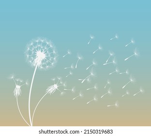 Vector illustration dandelion time. Black Dandelion seeds blowing in the wind. The wind inflates a dandelion isolated on white background.