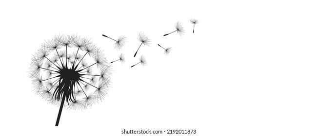 Ilustración vectorial, tiempo de león. Semillas de Dandelion negras soplando en el viento. El viento infla un diente de león aislado de fondo blanco.
