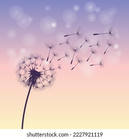 Vector illustration dandelion time. Black Dandelion seeds blowing in the wind. The wind inflates a dandelion isolated on white background.