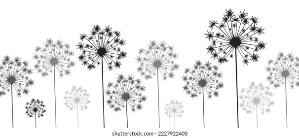 Vector illustration dandelion time. Black Dandelion seeds blowing in the wind. The wind inflates a dandelion isolated on white background.