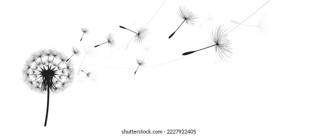 Ilustración vectorial, tiempo de león. Semillas de Dandelion negras soplando en el viento. El viento infla un diente de león aislado de fondo blanco.