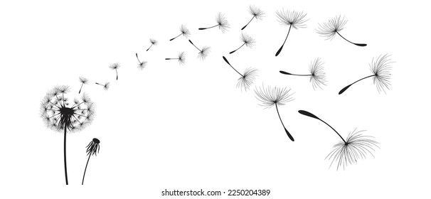 Vector illustration dandelion time. Black Dandelion seeds blowing in the wind. The wind inflates a dandelion isolated on white background