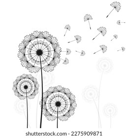Vector illustration dandelion time. Black Dandelion seeds blowing in the wind. The wind inflates a dandelion isolated on white background.