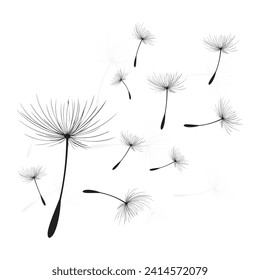 Ilustración vectorial, tiempo de león. Semillas de Dandelion negras soplando en el viento. El viento infla un diente de león aislado de fondo blanco.