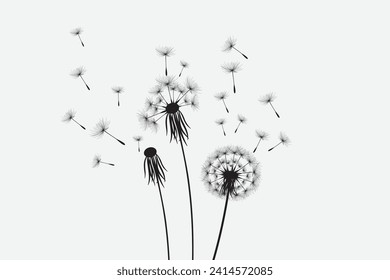 Vector illustration dandelion time. Black Dandelion seeds blowing in the wind. The wind inflates a dandelion isolated on white background.