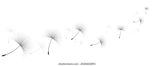 Ilustración vectorial, tiempo de león. Semillas de Dandelion negras soplando en el viento. El viento infla un diente de león aislado de fondo blanco.