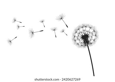 Ilustración vectorial, tiempo de león. Semillas de Dandelion negras soplando en el viento. El viento infla un diente de león aislado de fondo blanco.