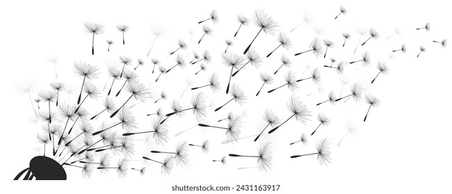 Ilustración vectorial de diente de león. Semillas de diente de león negro soplando en el viento. El viento infla un diente de león aislado sobre fondo blanco.