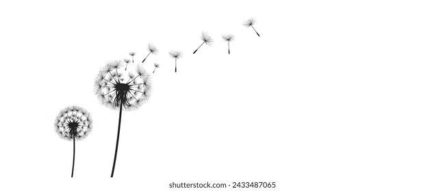 Ilustración vectorial de diente de león. Semillas de diente de león negro soplando en el viento. El viento infla un diente de león aislado sobre fondo blanco.