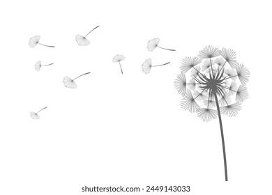 Vector illustration dandelion time. Black Dandelion seeds blowing in the wind. The wind inflates a dandelion isolated on white background.