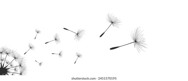 Vector illustration dandelion time. Black Dandelion seeds blowing in the wind. The wind inflates a dandelion isolated on a white background.