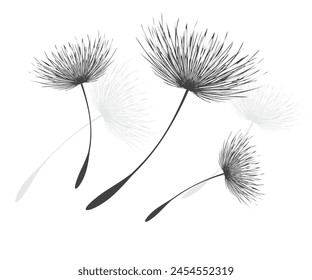 Ilustración vectorial diente de león tiempo. Semillas de diente de león negro soplando en el viento. El viento infla un diente de león aislado sobre un fondo blanco.