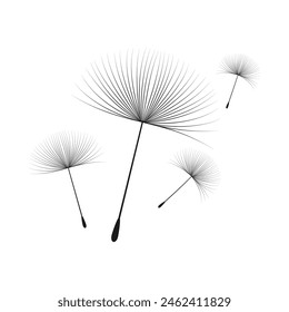 Ilustración vectorial diente de león tiempo. Semillas de diente de león negro soplando en el viento. El viento infla un diente de león aislado sobre un fondo blanco.
