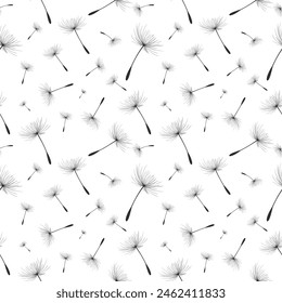 Vector illustration dandelion time. Black Dandelion seeds blowing in the wind. The wind inflates a dandelion isolated on a white background.