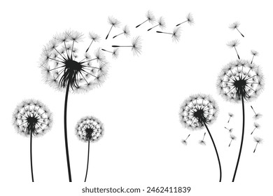 Ilustración vectorial diente de león tiempo. Semillas de diente de león negro soplando en el viento. El viento infla un diente de león aislado sobre un fondo blanco.