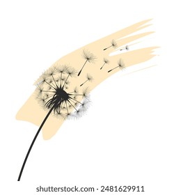 Vector illustration dandelion time. Black Dandelion seeds blowing in the wind. The wind inflates a dandelion isolated on white background