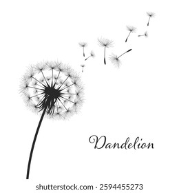 Vector illustration dandelion time. Black Dandelion seeds blowing in the wind. The wind inflates a dandelion isolated on a white background.