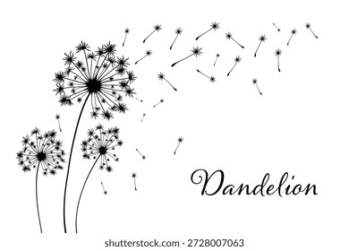 Ilustración vectorial del diente de león. Semillas de diente de león negro soplando en el viento. El viento infla un diente de león aislado sobre un fondo blanco.