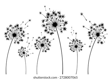 Ilustración vectorial del diente de león. Semillas de diente de león negro soplando en el viento. El viento infla un diente de león aislado sobre un fondo blanco.