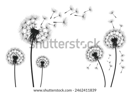 Similar – Image, Stock Photo Dandelion time in the center