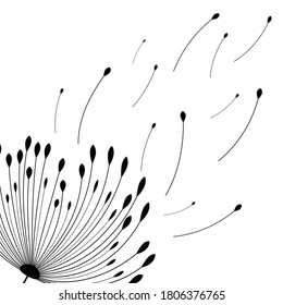 Vector illustration dandelion time. Dandelion seeds blowing in the wind. The wind inflates a dandelion isolated in white background