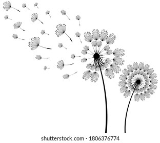 Vector illustration dandelion time. Dandelion seeds blowing in the wind. The wind inflates a dandelion isolated in white background