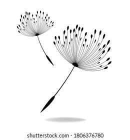 Vector illustration dandelion time. Dandelion seeds blowing in the wind. The wind inflates a dandelion isolated in white background