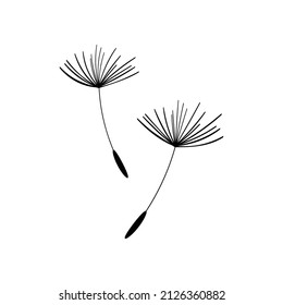 Vector illustration dandelion time. Dandelion seeds blowing in the wind. The wind inflates a dandelion isolated in white background