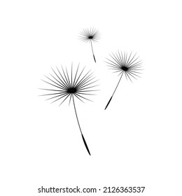 Vector illustration dandelion time. Dandelion seeds blowing in the wind. The wind inflates a dandelion isolated in white background