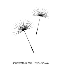 Vector illustration dandelion time. Dandelion seeds blowing in the wind. The wind inflates a dandelion isolated in white background