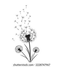 Ilustración vectorial, tiempo de león. Semillas de dandelión soplando en el viento. El viento infla un diente de león aislado de fondo blanco