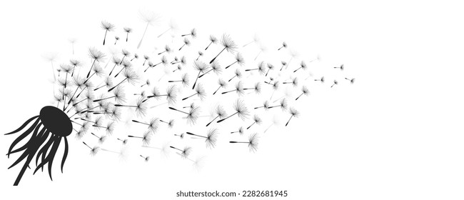 Vector illustration dandelion time. Dandelion seeds blowing in the wind. The wind inflates a dandelion isolated in white background.