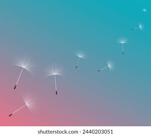 Vector illustration dandelion time. Dandelion seeds blowing in the wind. White Beautiful realistic Dandelion seeds blowing in the wind. The wind inflates a dandelion isolated in editable background.