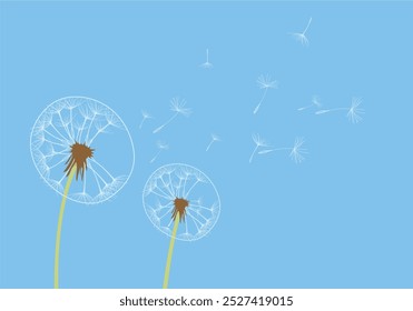 Vector illustration dandelion time. Two dandelions blowing in the wind. The wind inflates a dandelion