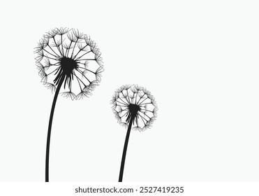 Vector illustration dandelion time. Two dandelions blowing in the wind. The wind inflates a dandelion