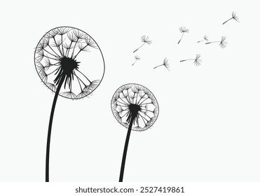 Vector illustration dandelion time. Two dandelions blowing in the wind. The wind inflates a dandelion