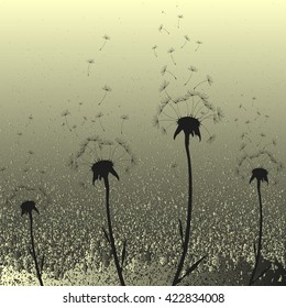 Vector illustration dandelion time. Two dandelions blowing in the wind. The wind inflates a dandelion