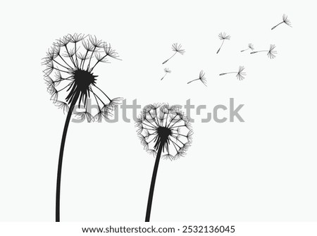 Similar – Image, Stock Photo Dandelion time in the center