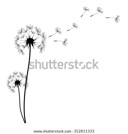 Similar – Image, Stock Photo two dandelion seeds in free flight against dark green background