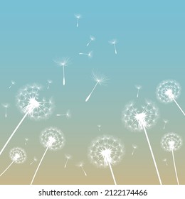 Vector illustration of dandelion time. White Beautiful Dandelion seeds blowing in the wind. The wind inflates a dandelion isolated in editable background.